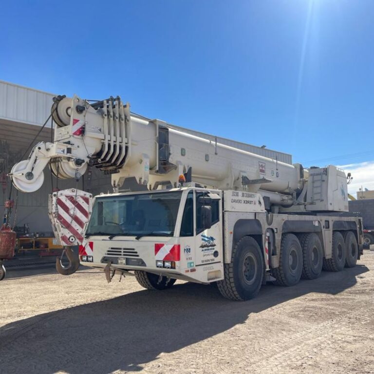 170 TONELADAS TEREX DEMAG AC140 AÑO 2007